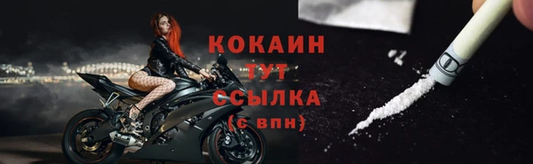 мяу мяу мука Аркадак