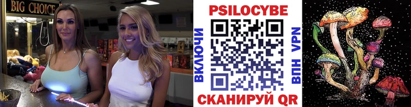 Купить где  Тырныауз  Псилоцибиновые грибы GOLDEN TEACHER 